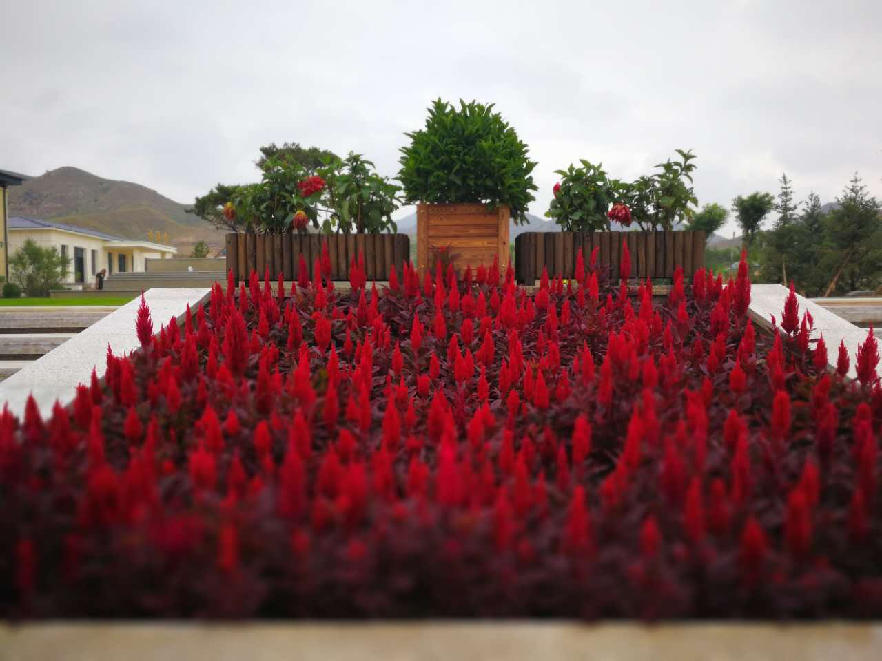 包頭公墓 包頭公墓