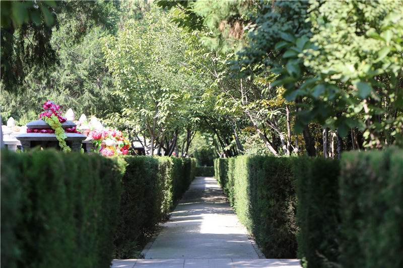 生命的歸宿，墓園植物景觀設(shè)計的方法