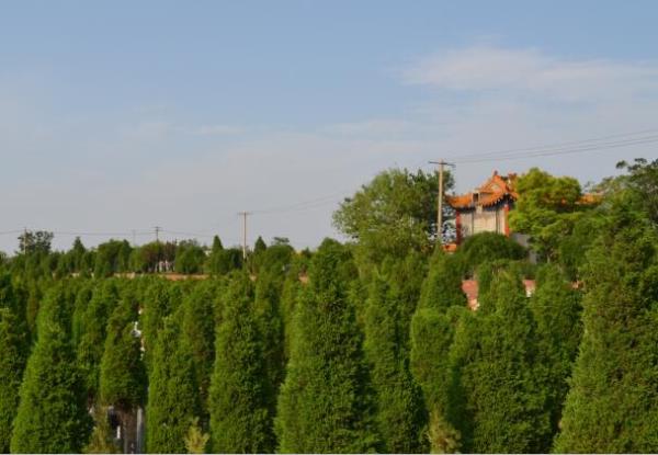 落葬時(shí)，要注意的六大原則